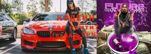 шишки Кукмор