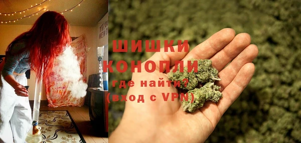PSILOCYBIN Лабытнанги