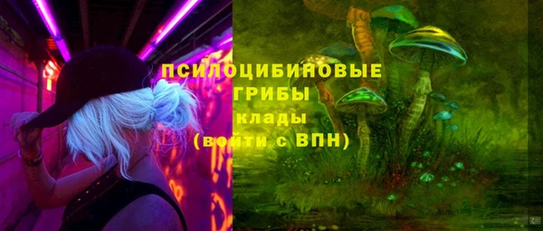 PSILOCYBIN Лабытнанги