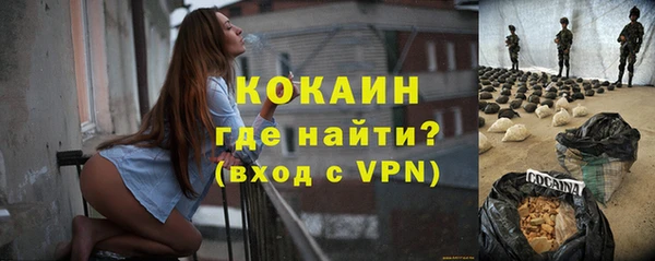шишки Кукмор